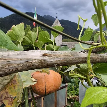 Mary House 2 Apartment Valtellina